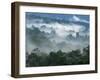 Rain Forest, from Lubaantun to Maya Mountains, Belize, Central America-Upperhall-Framed Premium Photographic Print