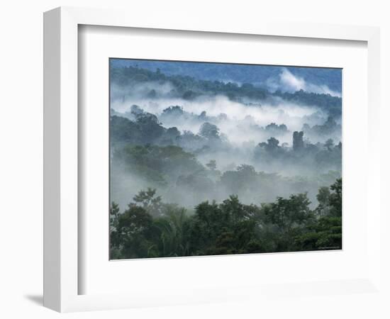 Rain Forest, from Lubaantun to Maya Mountains, Belize, Central America-Upperhall-Framed Photographic Print