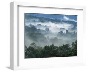 Rain Forest, from Lubaantun to Maya Mountains, Belize, Central America-Upperhall-Framed Photographic Print