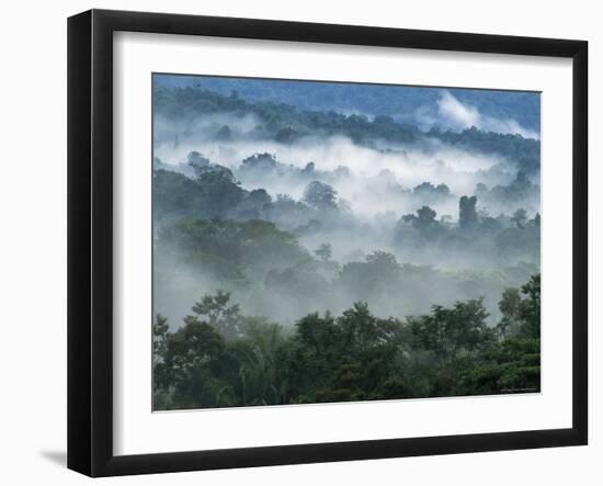 Rain Forest, from Lubaantun to Maya Mountains, Belize, Central America-Upperhall-Framed Photographic Print