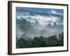 Rain Forest, from Lubaantun to Maya Mountains, Belize, Central America-Upperhall-Framed Photographic Print