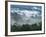 Rain Forest, from Lubaantun to Maya Mountains, Belize, Central America-Upperhall-Framed Photographic Print