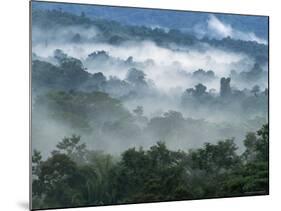 Rain Forest, from Lubaantun to Maya Mountains, Belize, Central America-Upperhall-Mounted Photographic Print