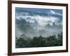 Rain Forest, from Lubaantun to Maya Mountains, Belize, Central America-Upperhall-Framed Photographic Print