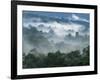 Rain Forest, from Lubaantun to Maya Mountains, Belize, Central America-Upperhall-Framed Photographic Print