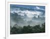 Rain Forest, from Lubaantun to Maya Mountains, Belize, Central America-Upperhall-Framed Photographic Print