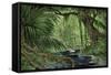 Rain Forest in the Upper Amazon Basin-null-Framed Stretched Canvas