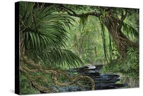 Rain Forest in the Upper Amazon Basin-null-Stretched Canvas