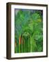 Rain Forest, Malaysia, 1990-Laila Shawa-Framed Giclee Print