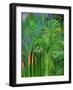 Rain Forest, Malaysia, 1990-Laila Shawa-Framed Giclee Print