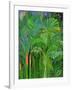 Rain Forest, Malaysia, 1990-Laila Shawa-Framed Giclee Print