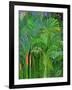 Rain Forest, Malaysia, 1990-Laila Shawa-Framed Giclee Print