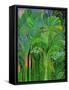 Rain Forest, Malaysia, 1990-Laila Shawa-Framed Stretched Canvas