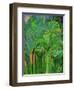 Rain Forest, Malaysia, 1990-Laila Shawa-Framed Giclee Print