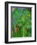 Rain Forest, Malaysia, 1990-Laila Shawa-Framed Giclee Print