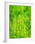 Rain Forest, Malaysia, 1990-Laila Shawa-Framed Giclee Print