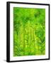 Rain Forest, Malaysia, 1990-Laila Shawa-Framed Giclee Print