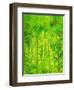 Rain Forest, Malaysia, 1990-Laila Shawa-Framed Giclee Print