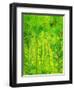 Rain Forest, Malaysia, 1990-Laila Shawa-Framed Giclee Print