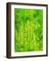 Rain Forest, Malaysia, 1990-Laila Shawa-Framed Giclee Print