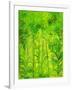 Rain Forest, Malaysia, 1990-Laila Shawa-Framed Giclee Print