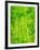 Rain Forest, Malaysia, 1990-Laila Shawa-Framed Giclee Print