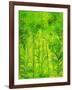 Rain Forest, Malaysia, 1990-Laila Shawa-Framed Giclee Print