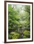 Rain Forest, Omanawa Gorge, Bay of Plenty, North Island, New Zealand-Rainer Mirau-Framed Photographic Print