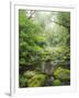 Rain Forest, Omanawa Gorge, Bay of Plenty, North Island, New Zealand-Rainer Mirau-Framed Photographic Print