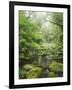 Rain Forest, Omanawa Gorge, Bay of Plenty, North Island, New Zealand-Rainer Mirau-Framed Photographic Print