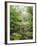 Rain Forest, Omanawa Gorge, Bay of Plenty, North Island, New Zealand-Rainer Mirau-Framed Photographic Print