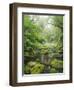 Rain Forest, Omanawa Gorge, Bay of Plenty, North Island, New Zealand-Rainer Mirau-Framed Photographic Print