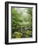 Rain Forest, Omanawa Gorge, Bay of Plenty, North Island, New Zealand-Rainer Mirau-Framed Photographic Print