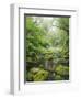 Rain Forest, Omanawa Gorge, Bay of Plenty, North Island, New Zealand-Rainer Mirau-Framed Photographic Print