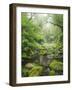 Rain Forest, Omanawa Gorge, Bay of Plenty, North Island, New Zealand-Rainer Mirau-Framed Photographic Print