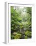 Rain Forest, Omanawa Gorge, Bay of Plenty, North Island, New Zealand-Rainer Mirau-Framed Photographic Print