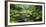 Rain Forest, Omanawa Gorge, Bay of Plenty, North Island, New Zealand-Rainer Mirau-Framed Photographic Print