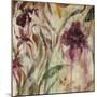 Rain Forest Orchids-Jodi Maas-Mounted Giclee Print