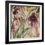 Rain Forest Orchids-Jodi Maas-Framed Giclee Print