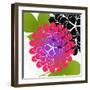 Rain Forest V-Tina Lavoie-Framed Giclee Print