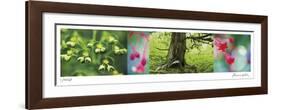 Rain Forest-Florence Delva-Framed Giclee Print