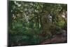 Rain Forest-Steve Hunziker-Mounted Art Print