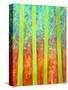 Rain Forest-Herb Dickinson-Stretched Canvas