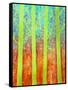 Rain Forest-Herb Dickinson-Framed Stretched Canvas