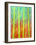 Rain Forest-Herb Dickinson-Framed Photographic Print