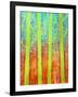 Rain Forest-Herb Dickinson-Framed Photographic Print