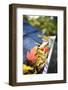 Rain Gutter Full of Autumn Leaves-soupstock-Framed Photographic Print