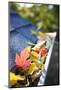 Rain Gutter Full of Autumn Leaves-soupstock-Mounted Photographic Print