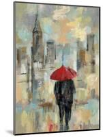 Rain in the City I-Silvia Vassileva-Mounted Art Print