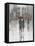 Rain in The City I-Tim OToole-Framed Stretched Canvas